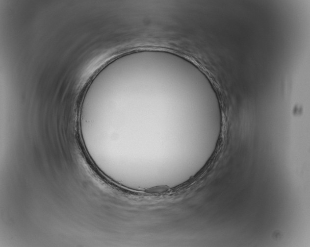 X0000114140005200910081037