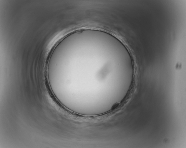 X0000114140007200910081037