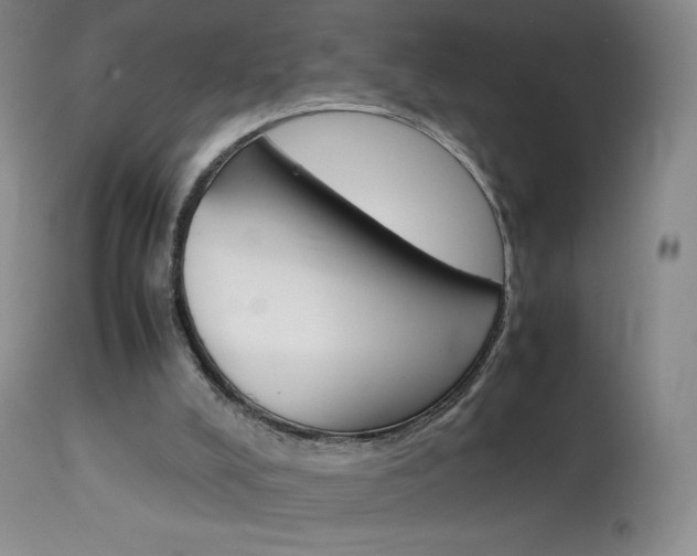 X0000114140008200910081037