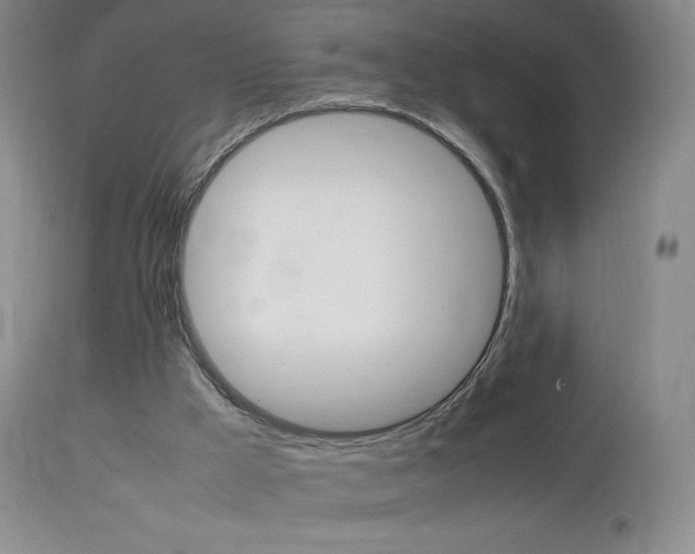 X0000114140009200910081037