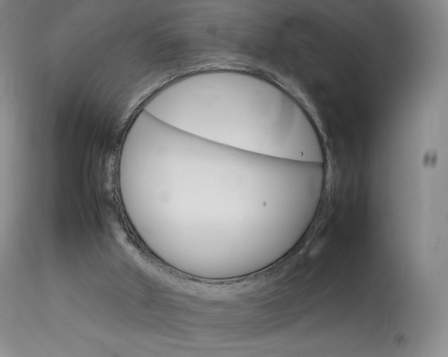 X0000114140010200910081037