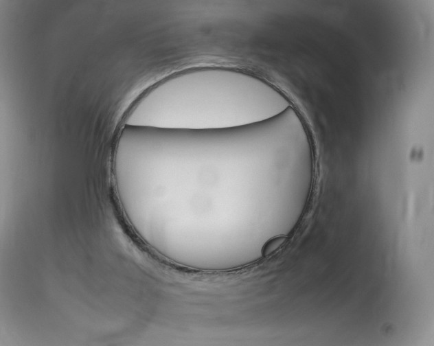 X0000114140011200910081037