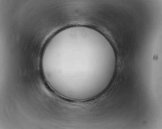 X0000114140012200910081037