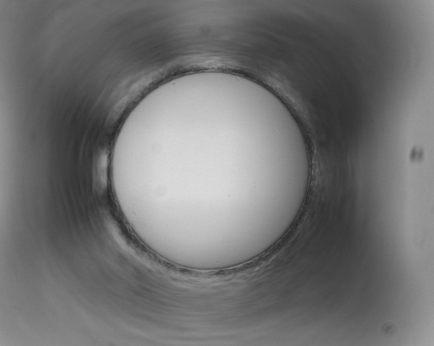 X0000114140014200910081037