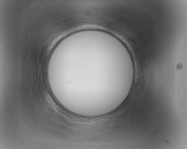 X0000114140015200910081037