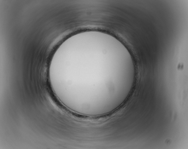 X0000114140016200910081037