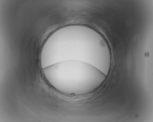 X0000114140019200910081037