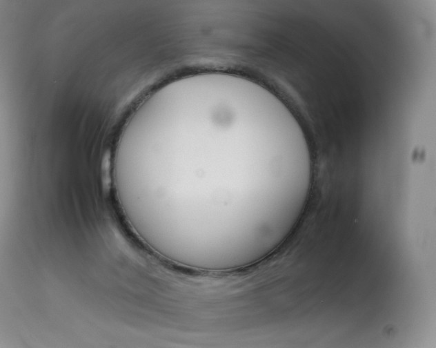 X0000114140020200910081037