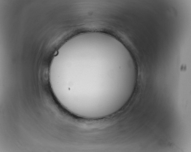 X0000114140021200910081037