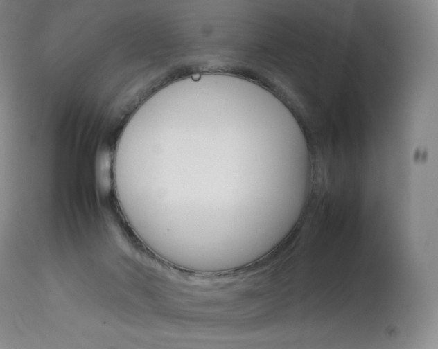 X0000114140022200910081037