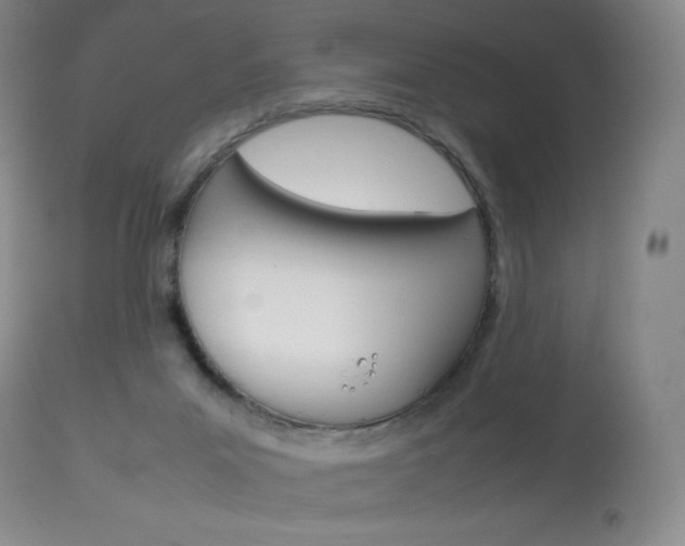 X0000114140023200910081037