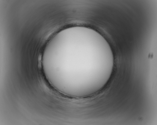 X0000114140024200910081037