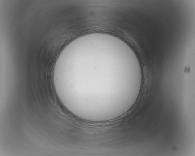 X0000114140025200910081037