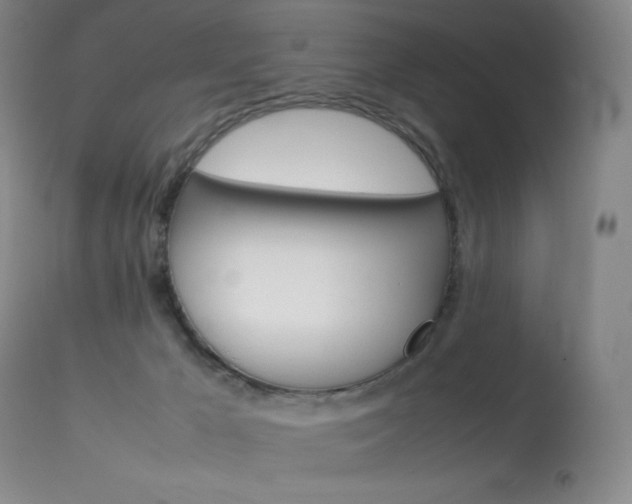 X0000114140029200910081037