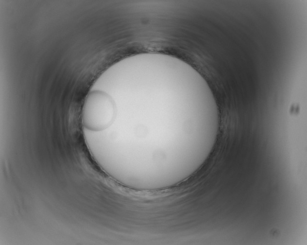 X0000114140030200910081037