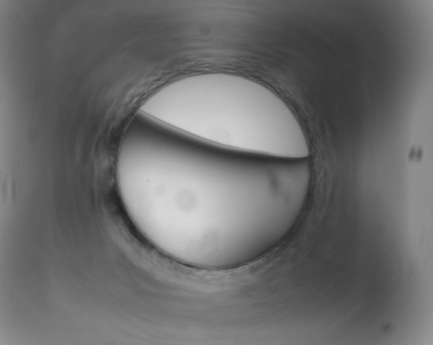 X0000114140031200910081037