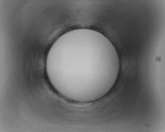 X0000114140032200910081037