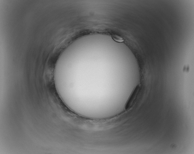 X0000114140033200910081037