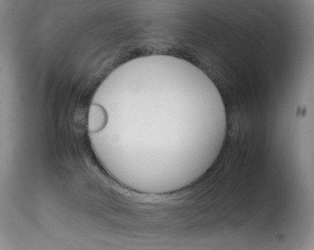 X0000114140034200910081037