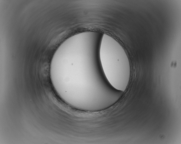 X0000114140036200910081037