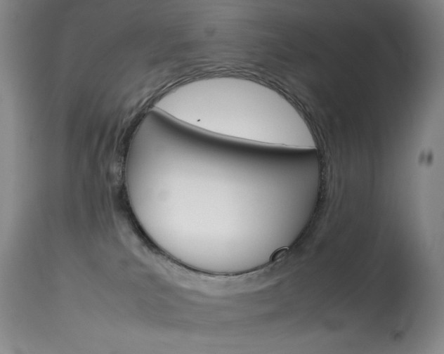 X0000114140039200910081037