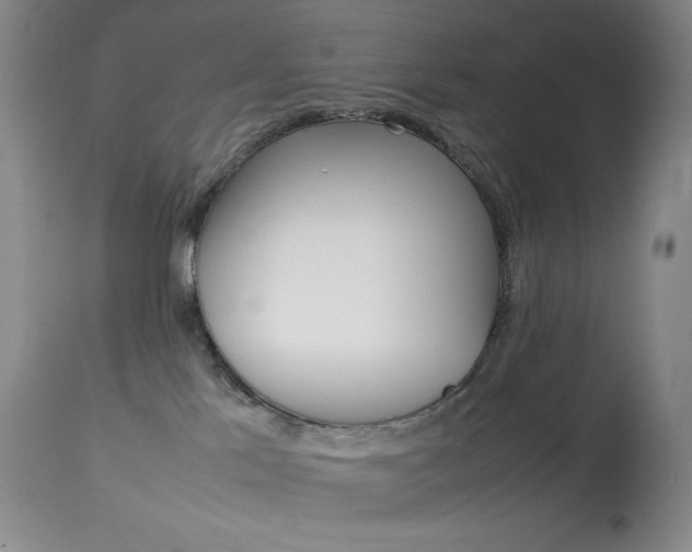 X0000114140041200910081037