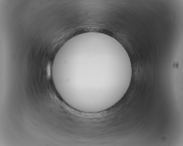 X0000114140042200910081037