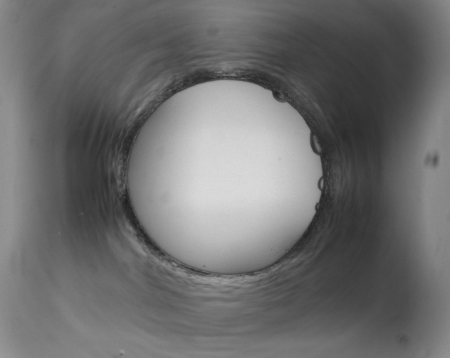 X0000114140044200910081037