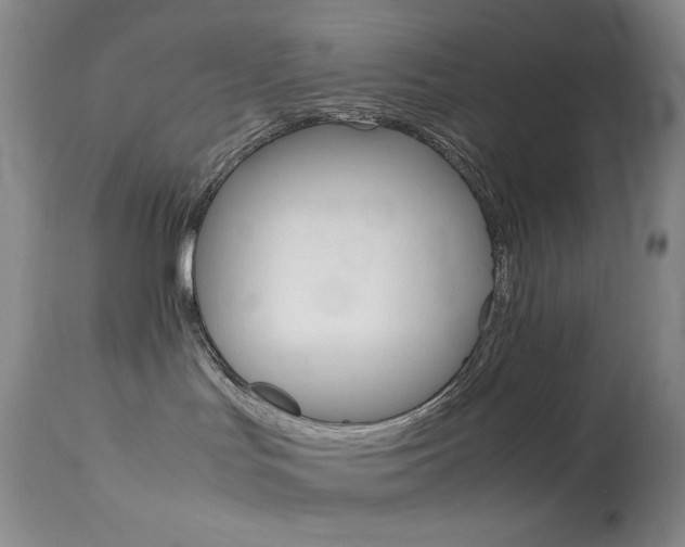 X0000114140047200910081037