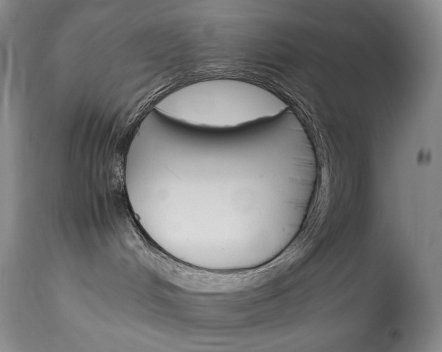 X0000114140048200910081037