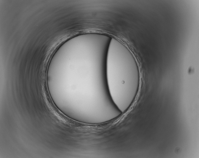 X0000114140049200910081036