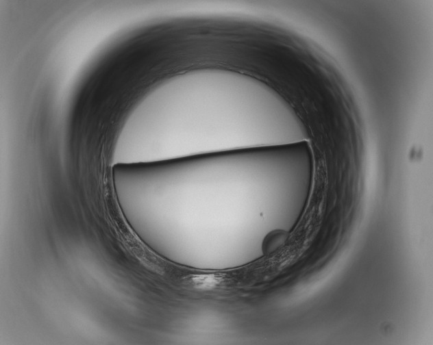 X0000114140050200910081036