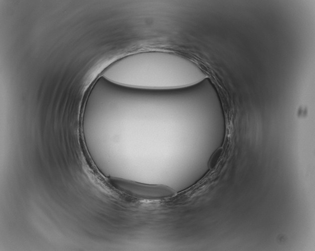 X0000114140052200910081036