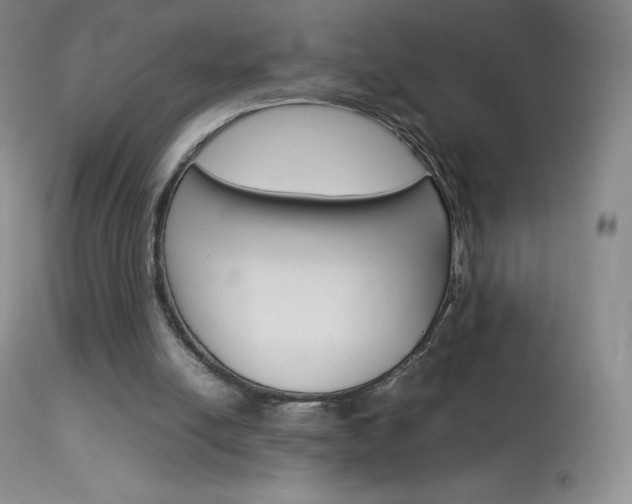 X0000114140054200910081036