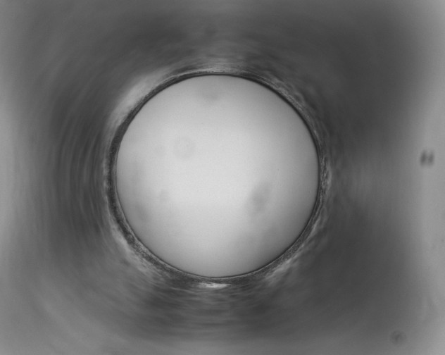 X0000114140055200910081036