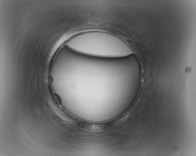 X0000114140056200910081036