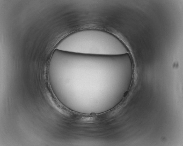 X0000114140057200910081036