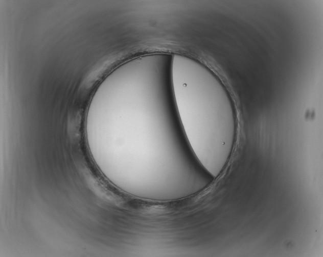 X0000114140058200910081036