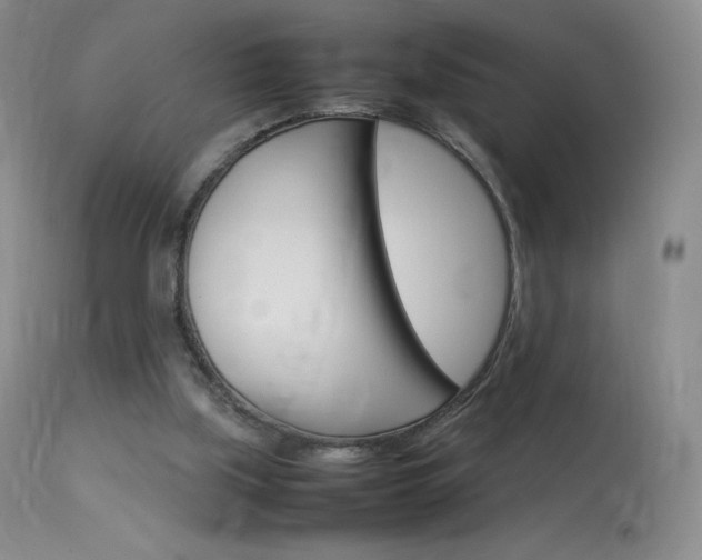 X0000114140059200910081036