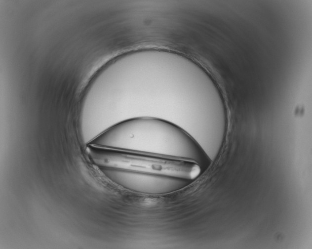 X0000114140060200910081036