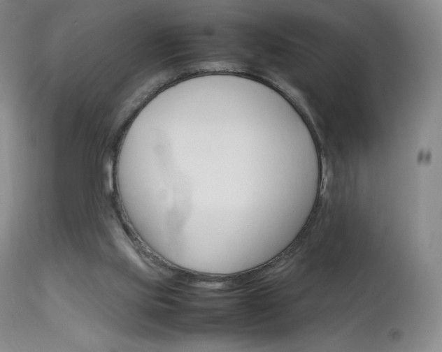 X0000114140061200910081036