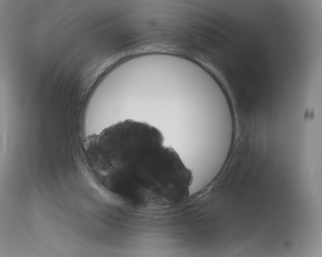 X0000114140062200910081036