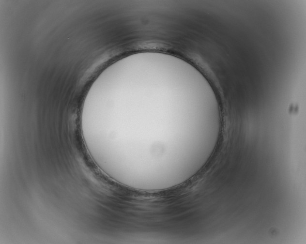 X0000114140063200910081036