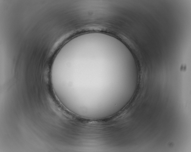 X0000114140064200910081036