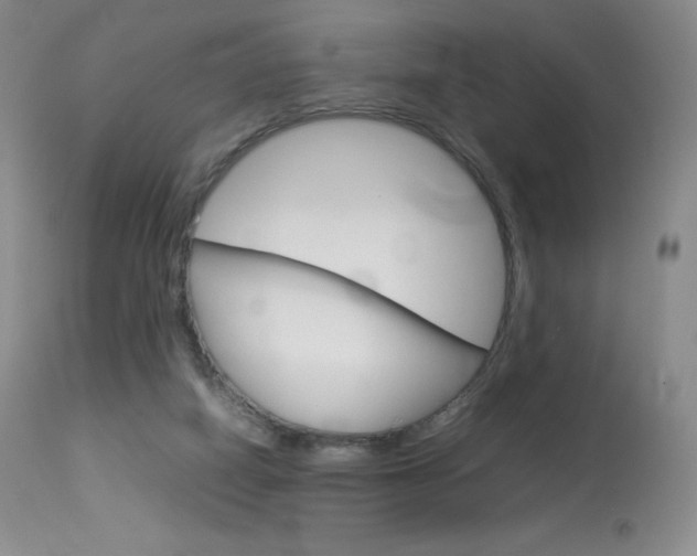 X0000114140066200910081036