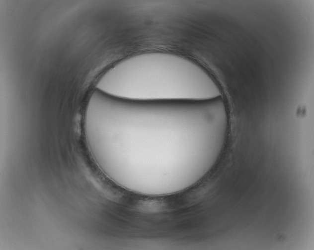 X0000114140067200910081036