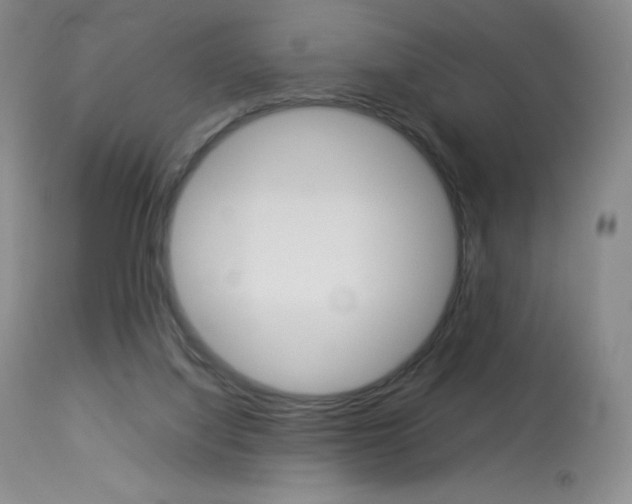 X0000114140068200910081036