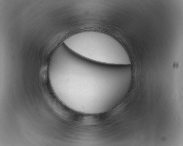 X0000114140070200910081036