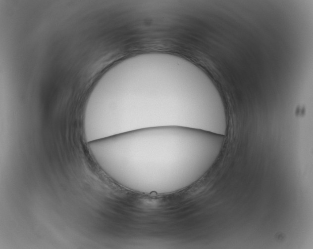 X0000114140071200910081036