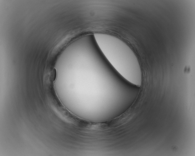 X0000114140072200910081036